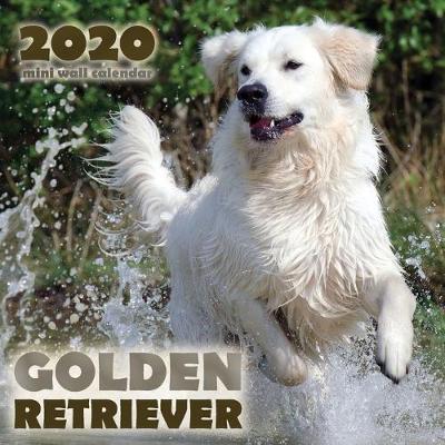 Book cover for Golden Retriever 2020 Mini Wall Calendar