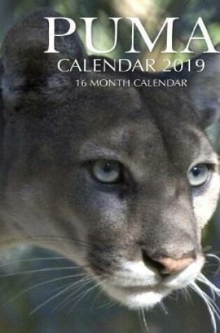 Cover of Puma Calendar 2019