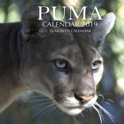 Book cover for Puma Calendar 2019