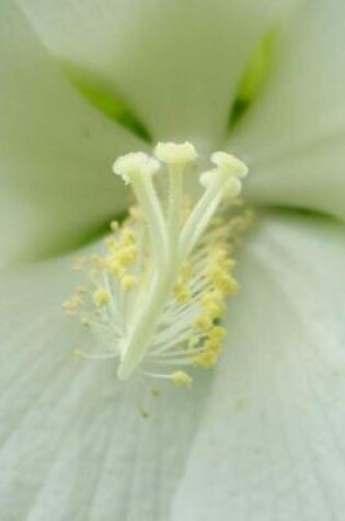 Cover of White Hibiscus Close-Up (for the Love of Flowers)