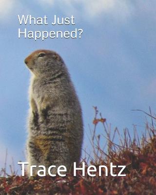 Book cover for What Just Happened?