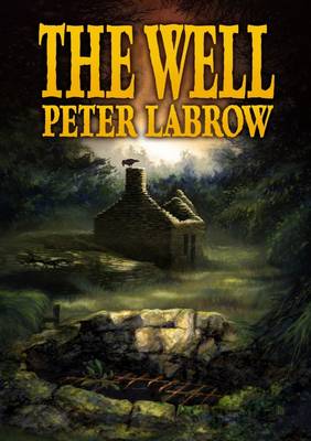 Book cover for The Well