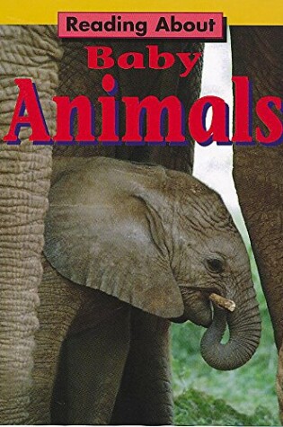 Cover of Baby Animals