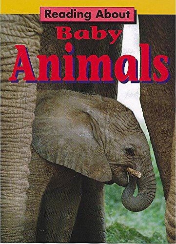 Cover of Baby Animals