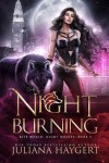 Book cover for The Night Burning