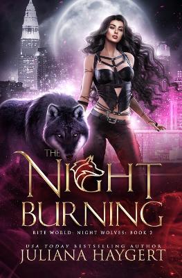 Cover of The Night Burning