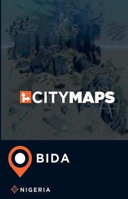 Book cover for City Maps Bida Nigeria