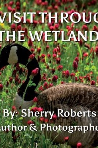 Cover of A Visit Through the Wetlands