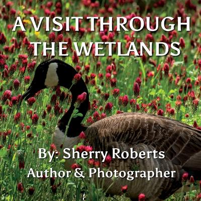 Book cover for A Visit Through the Wetlands