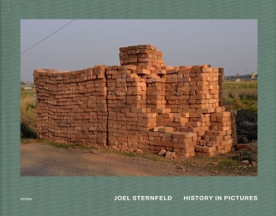 Book cover for Joel Sternfeld: History in Pictures