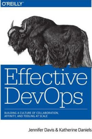 Cover of Effective Devops