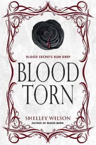 Cover of Blood Torn