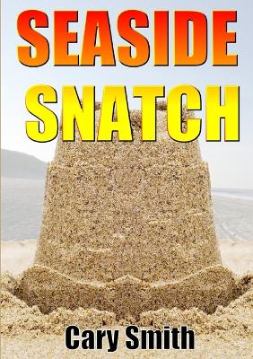 Book cover for Seaside Snatch