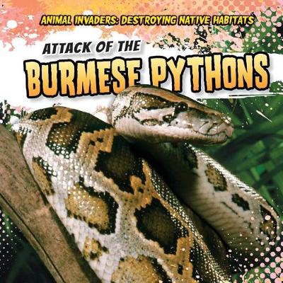 Cover of Attack of the Burmese Pythons