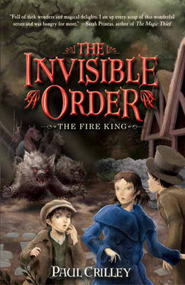 Book cover for The Fire King