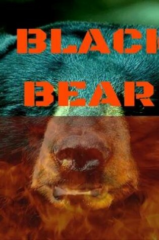 Cover of Black Bear