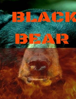 Book cover for Black Bear