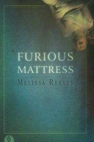 Cover of Furious Mattress