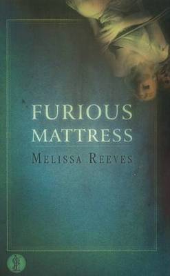 Book cover for Furious Mattress