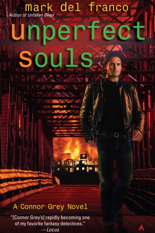 Cover of Unperfect Souls