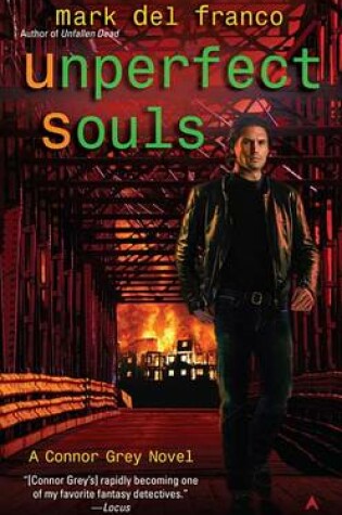 Cover of Unperfect Souls