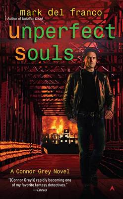 Cover of Unperfect Souls