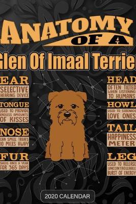 Book cover for Anatomy Of A Glen Of Imaal Terrier