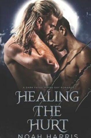Cover of Healing the Hurt