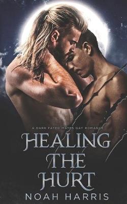 Book cover for Healing the Hurt