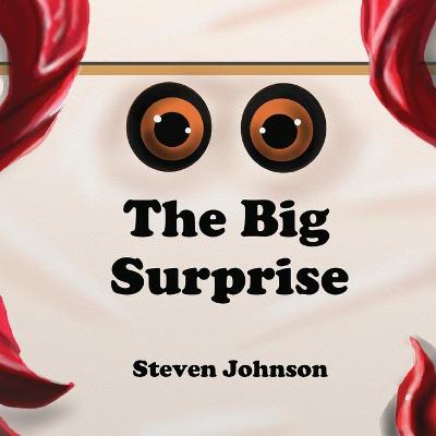 Book cover for The Big Surprise