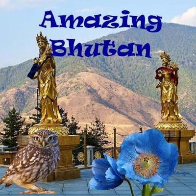 Book cover for Amazing Bhutan