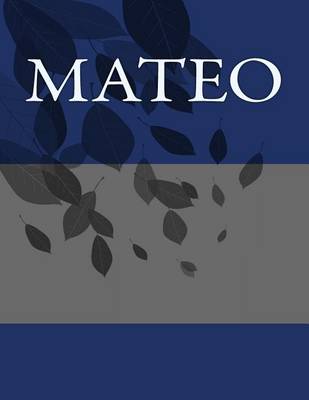 Book cover for Mateo