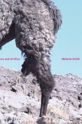 Cover of Melanie Smith