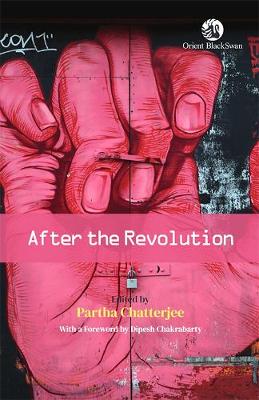 Book cover for After the Revolution