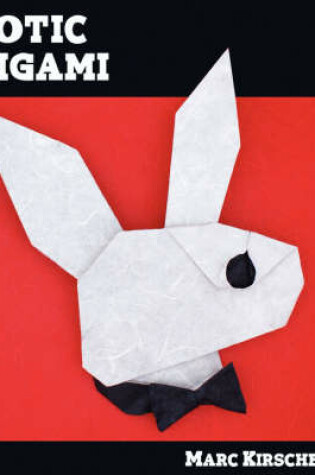 Cover of Erotic Origami