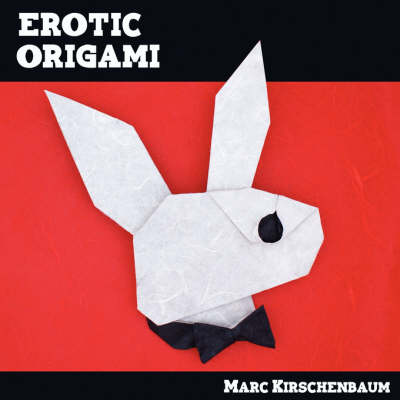 Book cover for Erotic Origami