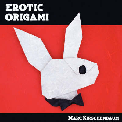 Cover of Erotic Origami