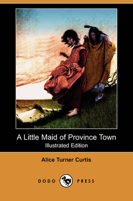 Book cover for A Little Maid of Province Town(Dodo Press)