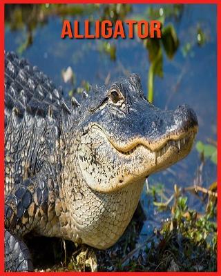 Book cover for Alligator