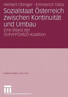 Book cover for Sozialstaat OEsterreich Zwischen Kontinuitat Und Umbau