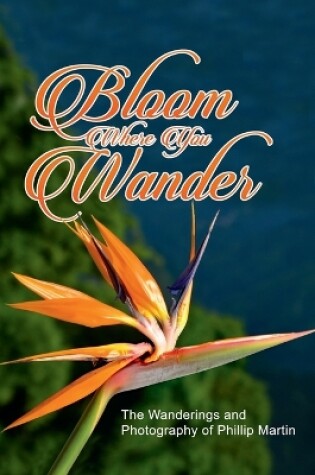 Cover of Bloom Where You Wander (Expanded, matte cover)