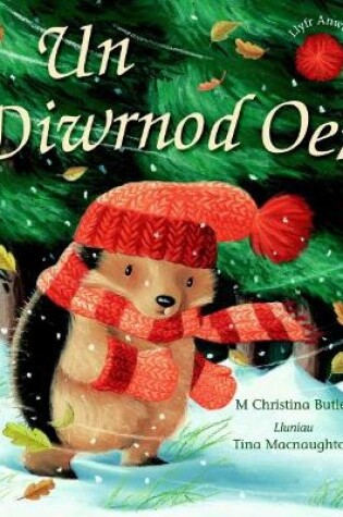 Cover of Un Diwrnod Oer