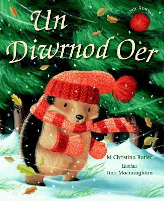 Book cover for Un Diwrnod Oer
