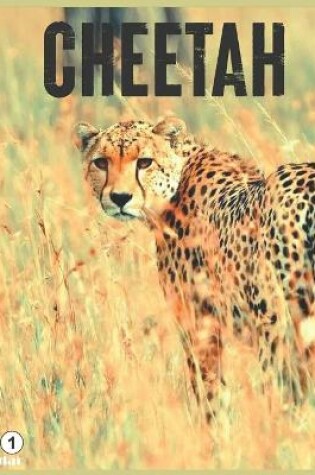 Cover of Cheetah 2021 Wall Calendar