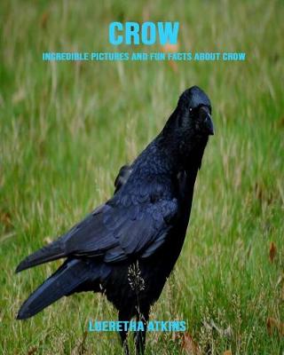 Book cover for Crow