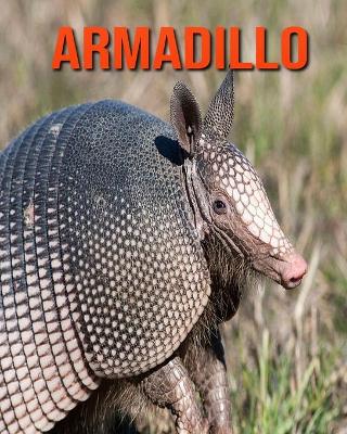 Book cover for Armadillo