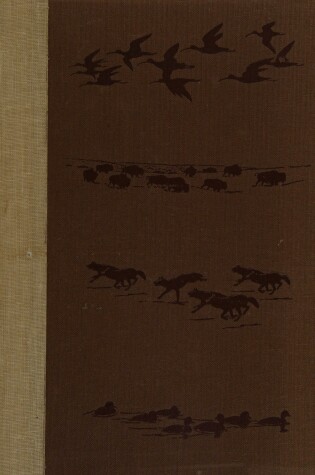 Cover of Wildlife in America