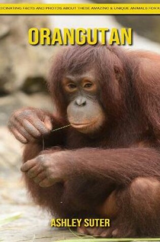 Cover of Orangutan