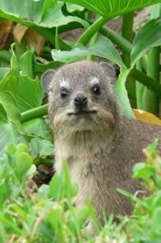 Cover of A Cute Little Hyrax in the Woods Journal