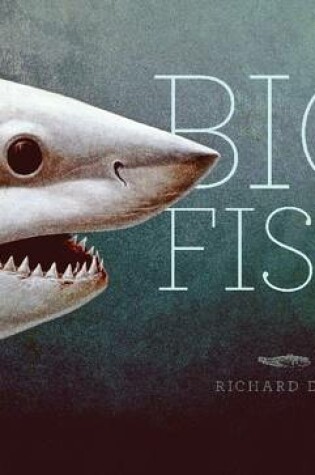 Cover of Big Fish